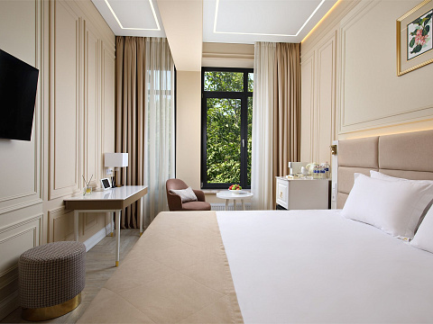  Спа-санаторий AMK Montis Club г. Железноводск. Номер Comfort